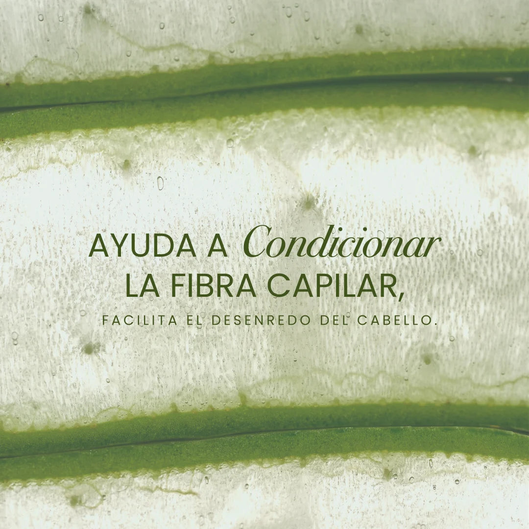 ACONDICIONADOR DE ARGÁN Y ALOE VERA ANYELUZ